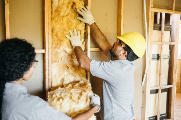 Best Spray Foam Insulation  in Estill Springs, TN